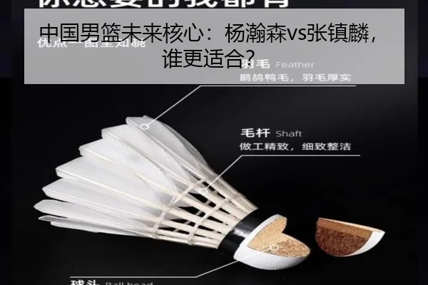 中国男篮未来核心：杨瀚森vs张镇麟，谁更适合？